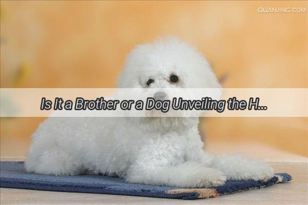 Is It a Brother or a Dog Unveiling the Heartwarming Bond